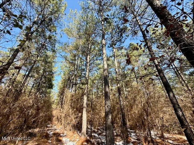 $4,500,000 | Long Lonesome Road, Bastrop, LA 71220