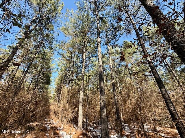 Long Lonesome Road Bastrop, LA 71220 - Photo 58 of 76 IMG_7614