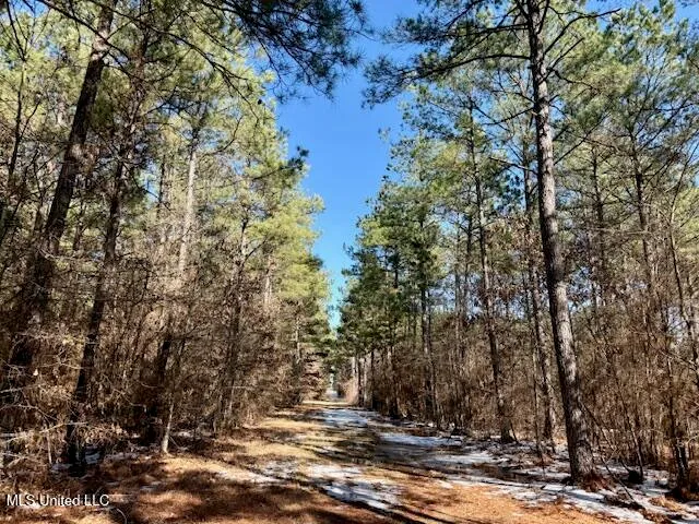 $4,500,000 | Long Lonesome Road, Bastrop, LA 71220