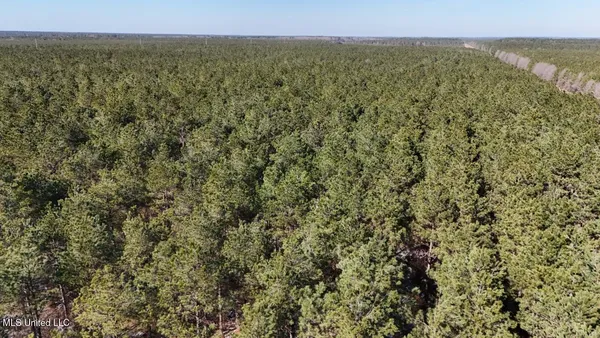 $4,500,000 | Long Lonesome Road, Bastrop, LA 71220
