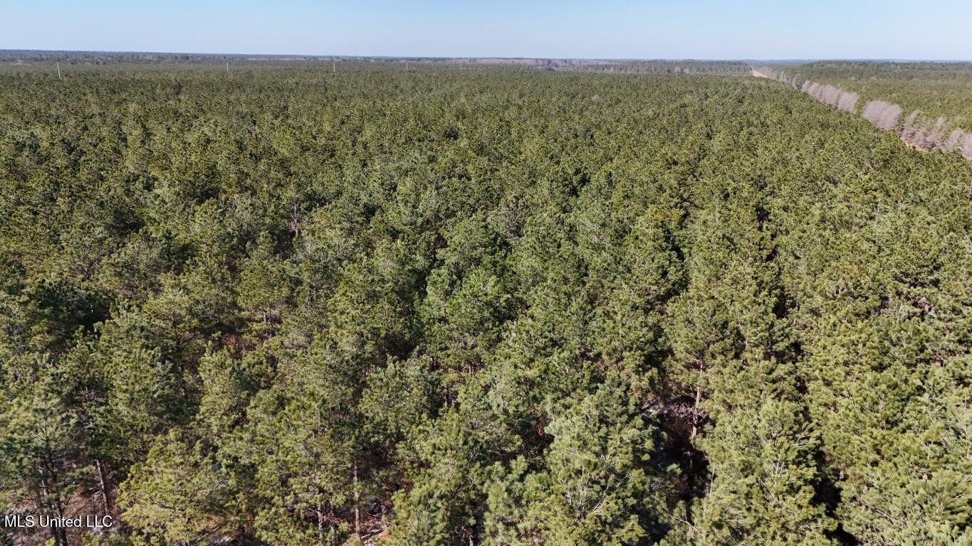 Long Lonesome Road Bastrop, LA 71220 - Photo 6 of 76 DJI_20260202134634_0136_D (Medium)