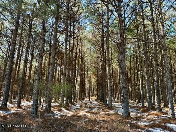 $4,500,000 | Long Lonesome Road, Bastrop, LA 71220