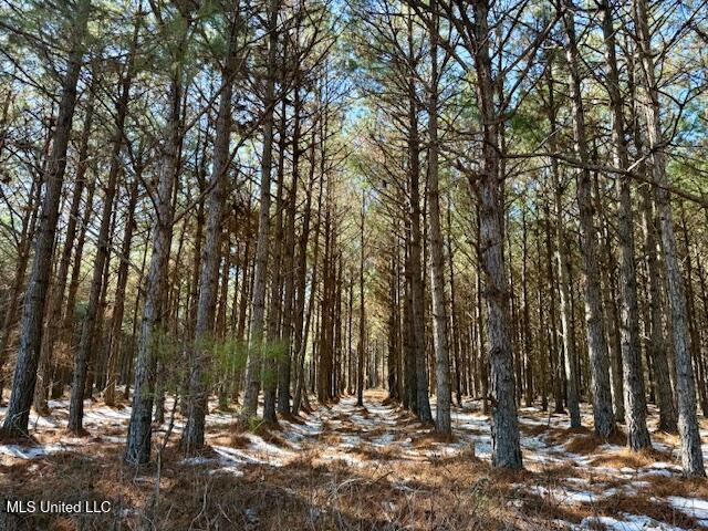 Long Lonesome Road Bastrop, LA 71220 - Photo 61 of 76 IMG_7620