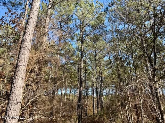 $4,500,000 | Long Lonesome Road, Bastrop, LA 71220