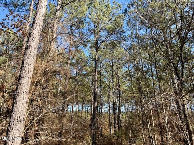 Long Lonesome Road Bastrop, LA 71220 - Photo 62 of 76 IMG_7623