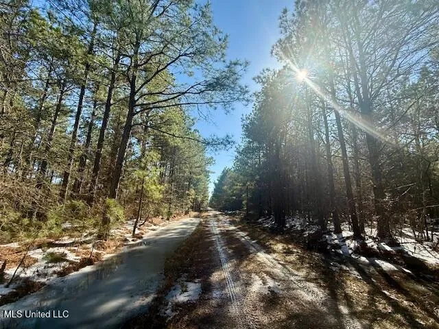 $4,500,000 | Long Lonesome Road, Bastrop, LA 71220