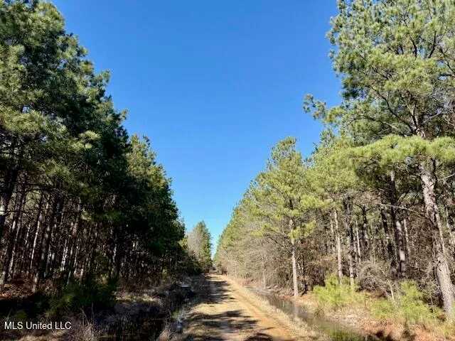 $4,500,000 | Long Lonesome Road, Bastrop, LA 71220