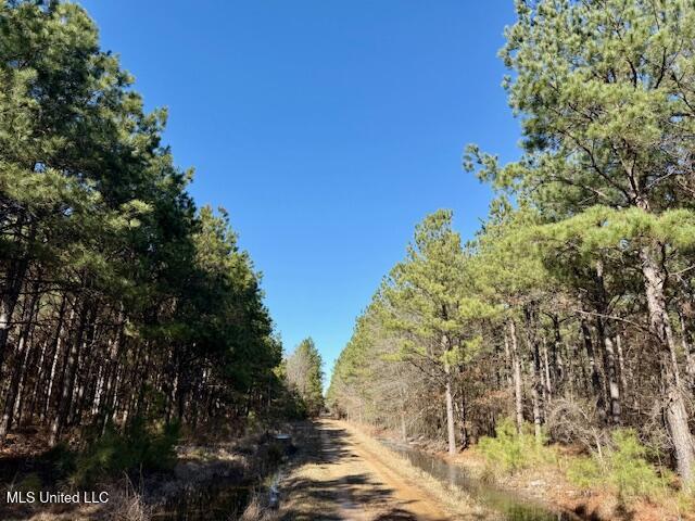 Long Lonesome Road Bastrop, LA 71220 - Photo 64 of 76 IMG_7625