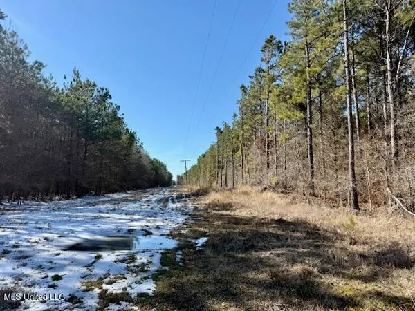 $4,500,000 | Long Lonesome Road, Bastrop, LA 71220