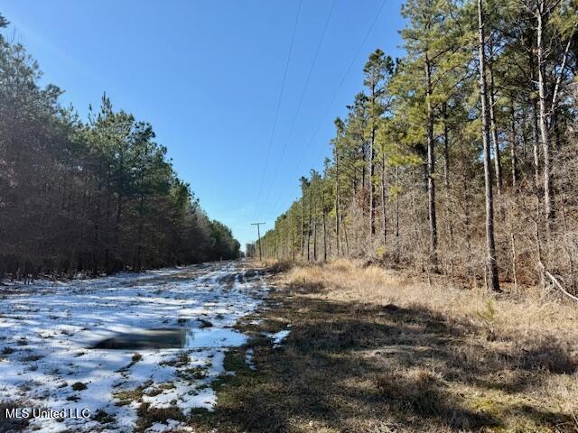 Long Lonesome Road Bastrop, LA 71220 - Photo 65 of 76 IMG_7628