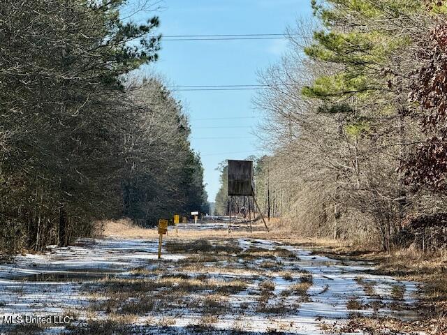 Long Lonesome Road Bastrop, LA 71220 - Photo 66 of 76 IMG_7629
