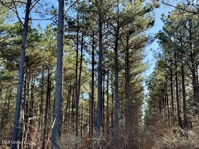 $4,500,000 | Long Lonesome Road, Bastrop, LA 71220