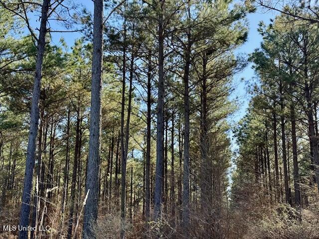 Long Lonesome Road Bastrop, LA 71220 - Photo 67 of 76 IMG_7630