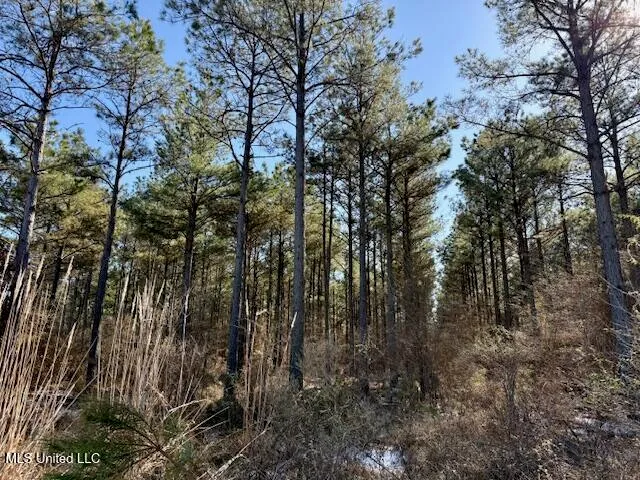 $4,500,000 | Long Lonesome Road, Bastrop, LA 71220