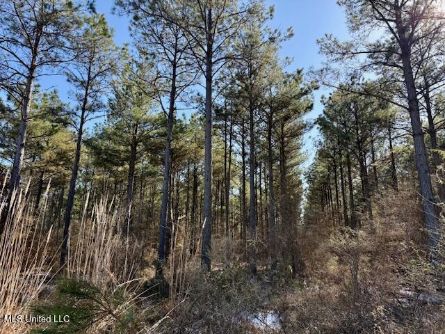 Long Lonesome Road Bastrop, LA 71220 - Photo 68 of 76 IMG_7631