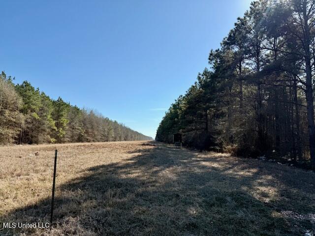 Long Lonesome Road Bastrop, LA 71220 - Photo 69 of 76 IMG_7633