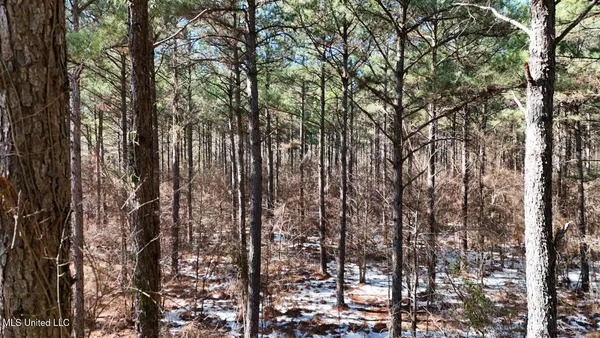 $4,500,000 | Long Lonesome Road, Bastrop, LA 71220