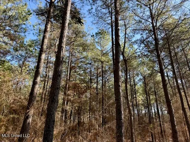 $4,500,000 | Long Lonesome Road, Bastrop, LA 71220