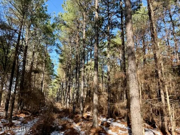 $4,500,000 | Long Lonesome Road, Bastrop, LA 71220