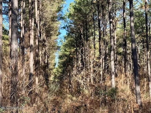 $4,500,000 | Long Lonesome Road, Bastrop, LA 71220