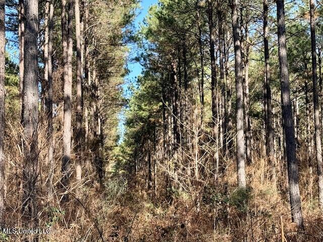 Long Lonesome Road Bastrop, LA 71220 - Photo 73 of 76 IMG_7640