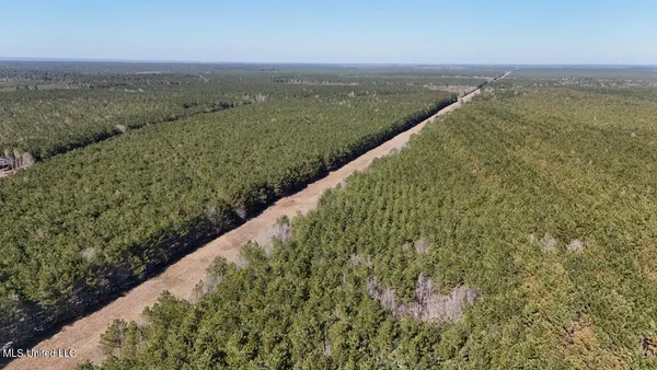 $4,500,000 | Long Lonesome Road, Bastrop, LA 71220