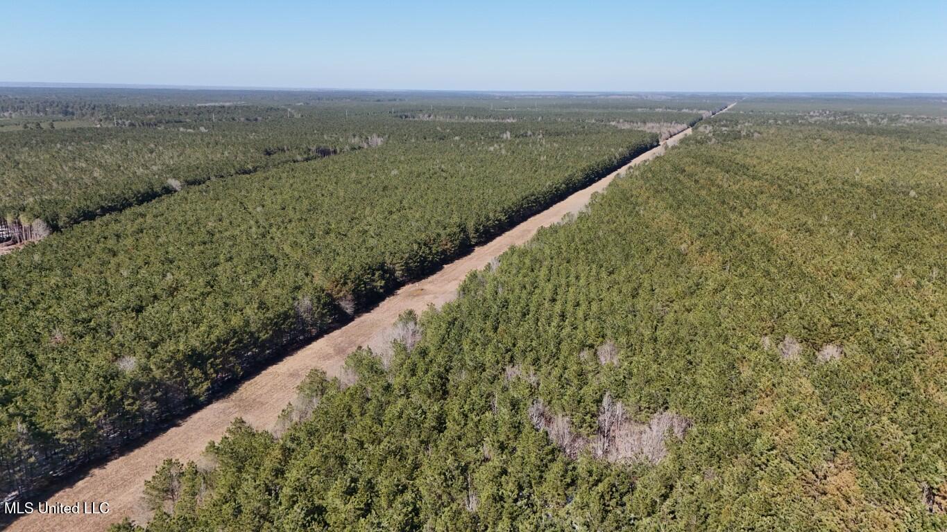 Long Lonesome Road Bastrop, LA 71220 - Photo 8 of 76 DJI_20260202125526_0129_D (Medium)