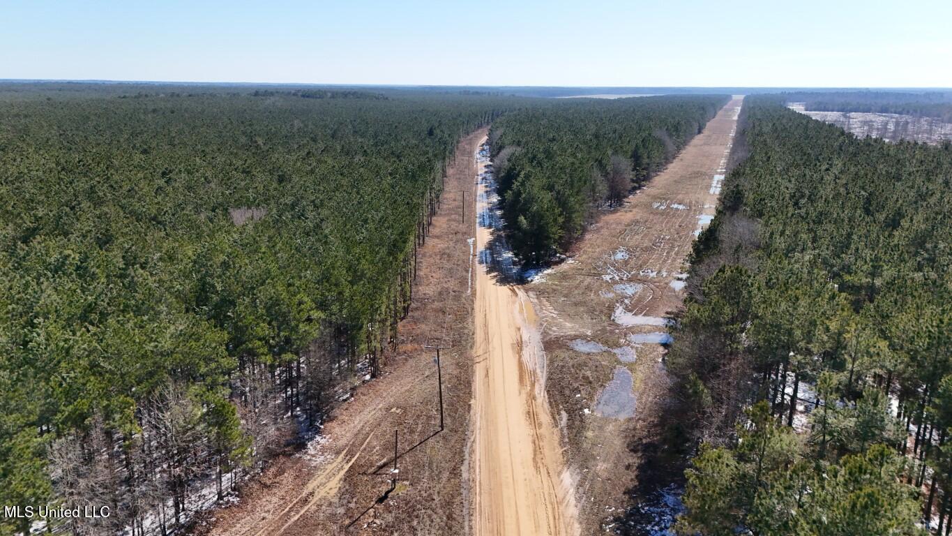 Long Lonesome Road Bastrop, LA 71220 - Photo 9 of 76 DJI_20260202125720_0131_D (Medium)
