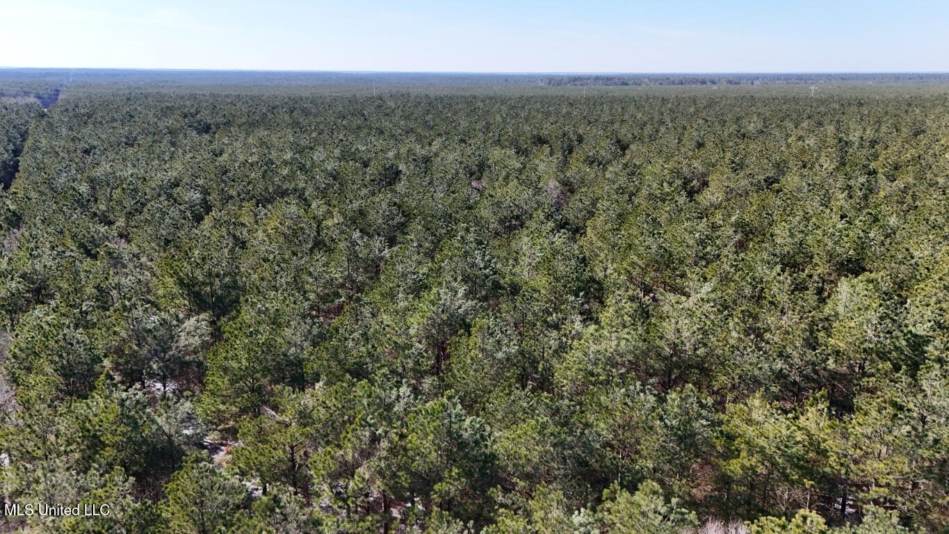 Long Lonesome Road Bastrop, LA 71220 - Photo 10 of 76 DJI_20260202134621_0135_D (Medium)