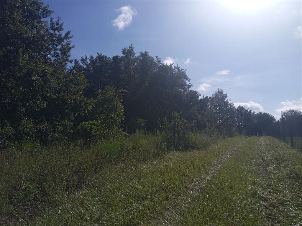 Postal Colony Road Clermont, FL 34714 - Photo 5 of 13 a view of a yard in a yard