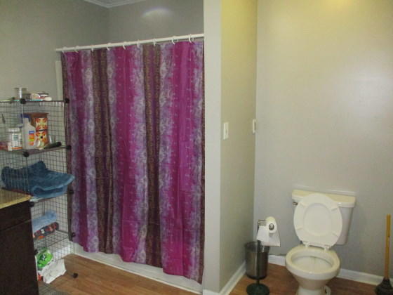 404 Roe Street Buchanan, MI 49107 - Photo 8 of 11 Bathroom