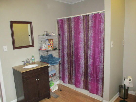 404 Roe Street Buchanan, MI 49107 - Photo 9 of 11 Bathroom