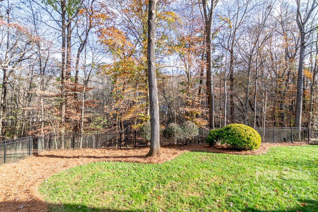 1629 Stevens Ridge Road Matthews, NC 28105 - Photo 5 of 39 a view of a backyard