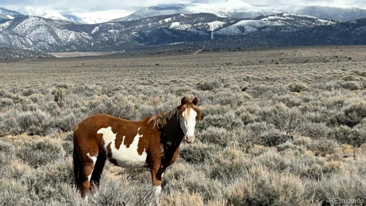 16383 Peacock Road Sanford, CO 81151 - Photo 31 of 33 a view of a lake