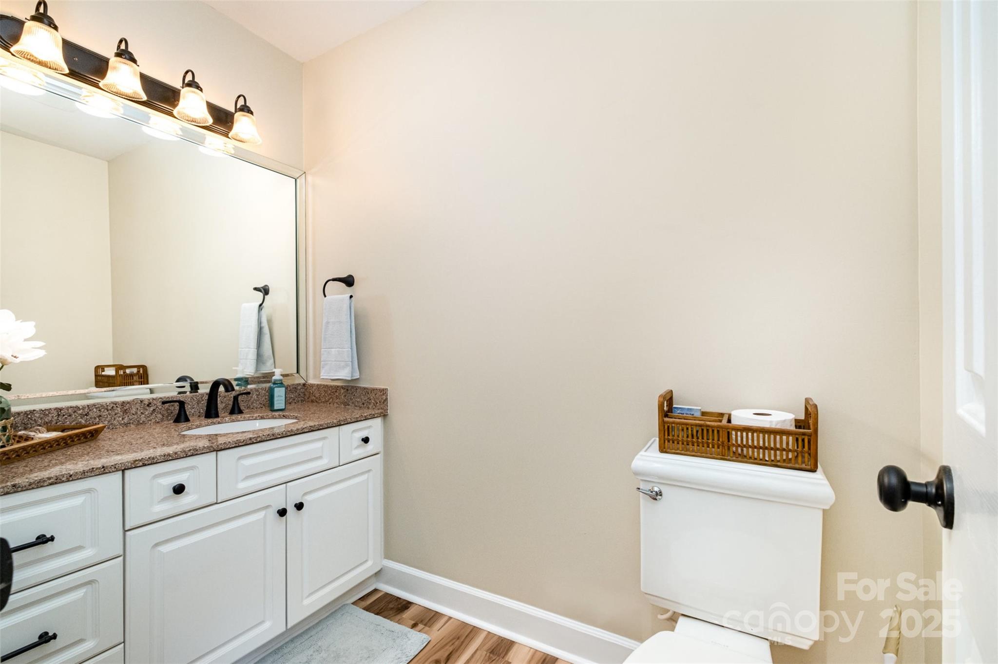 11122 Windgate Court Tega Cay, SC 29708 - Photo 15 of 48 a bathroom with a sink and mirror with toilet