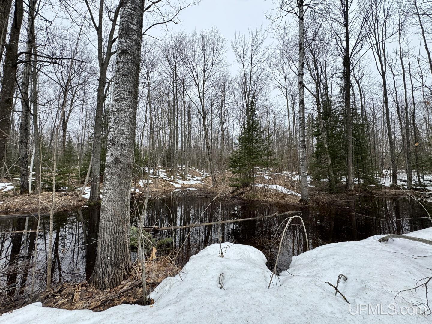 280-acres Off Pikes Peak Road Lanse, MI 49946 - Photo 12 of 21