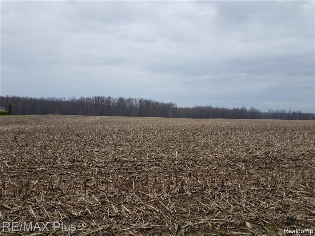 0 Martin Road Imlay City, MI 48444 - Photo 1 of 1 Gallery Image 1