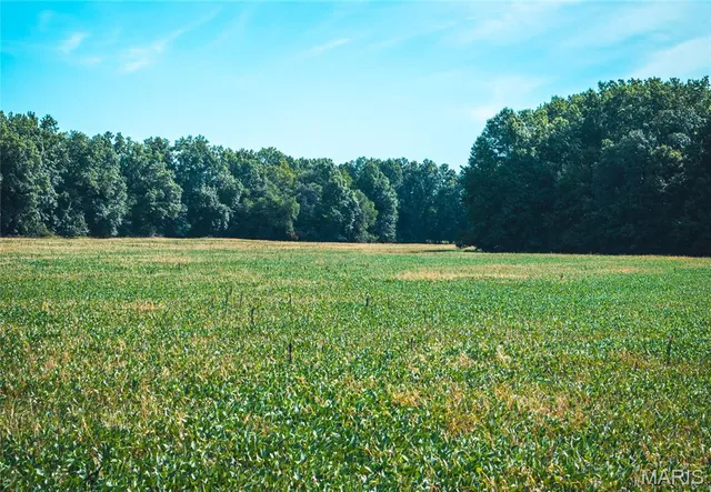 $189,000 | A92 Other Mo 65259, Huntsville, MO 65259