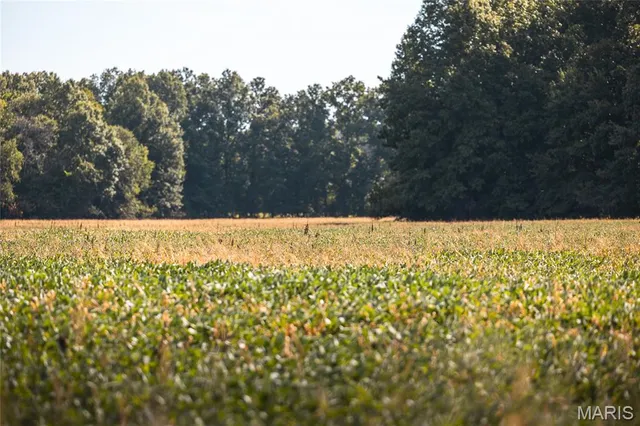 $189,000 | A92 Other Mo 65259, Huntsville, MO 65259