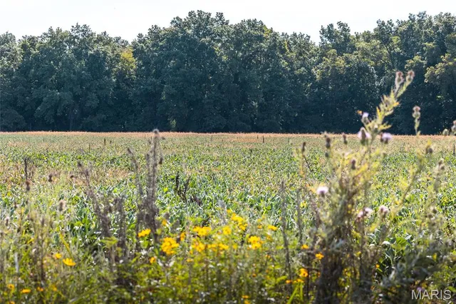 $189,000 | A92 Other Mo 65259, Huntsville, MO 65259