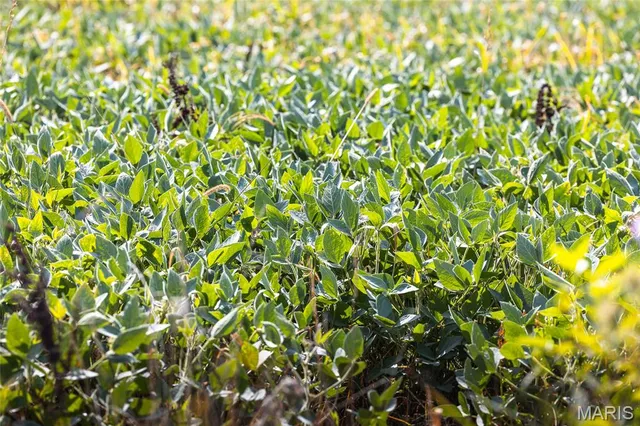 $189,000 | A92 Other Mo 65259, Huntsville, MO 65259