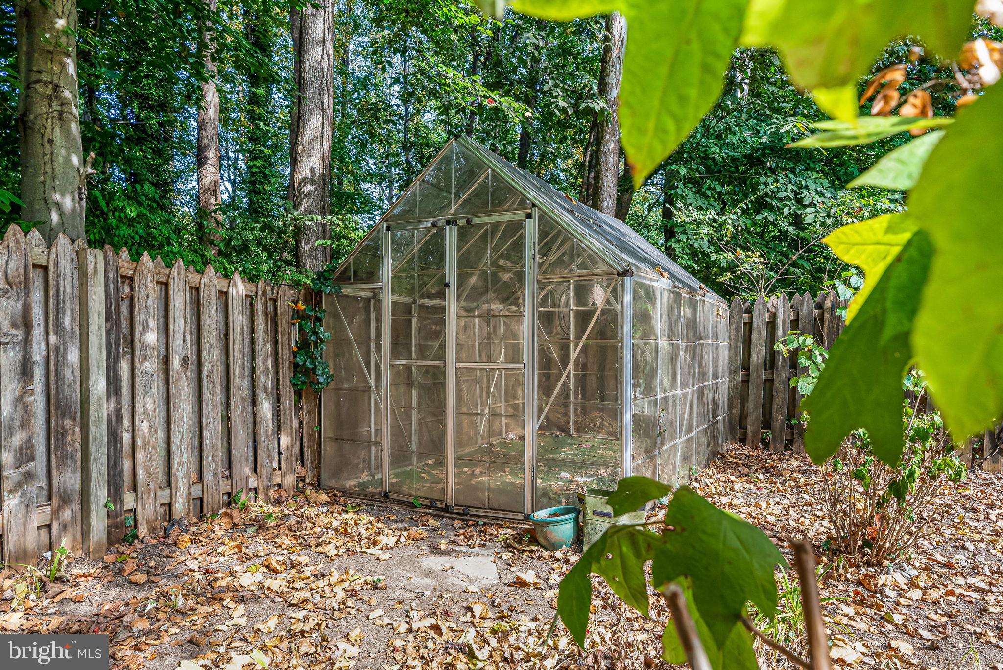 7242 Greentree Road Bethesda, MD 20817 - Photo 40 of 41 Rear Yard Greenhouse
