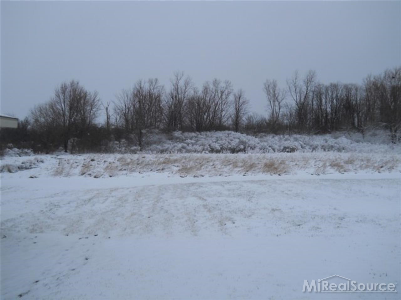 13850 Burt Road Capac, MI 48014 - Photo 22 of 23 This is a view of the backyard and woods.