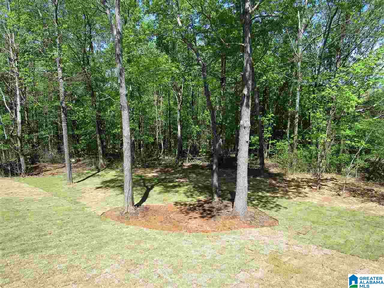 240 Smithfield Lane Springville, AL 35146 - Photo 21 of 26