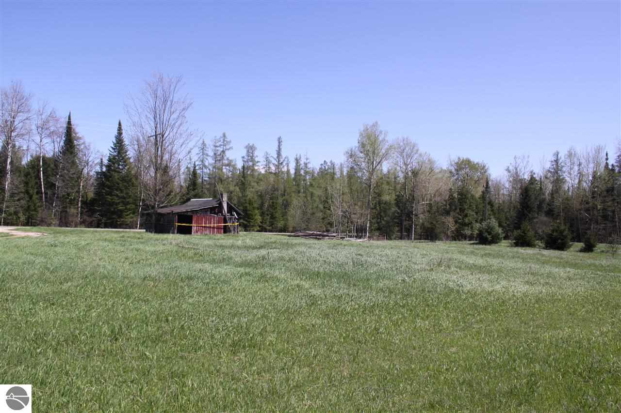 12810 Shippy Road Southwest Fife Lake, MI 49633 - Photo 11 of 28 1785957-10.JPG