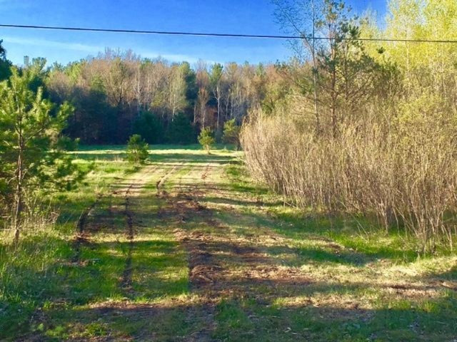 6586 Cline Road Fruitport, MI 49415 - Photo 1 of 14 2