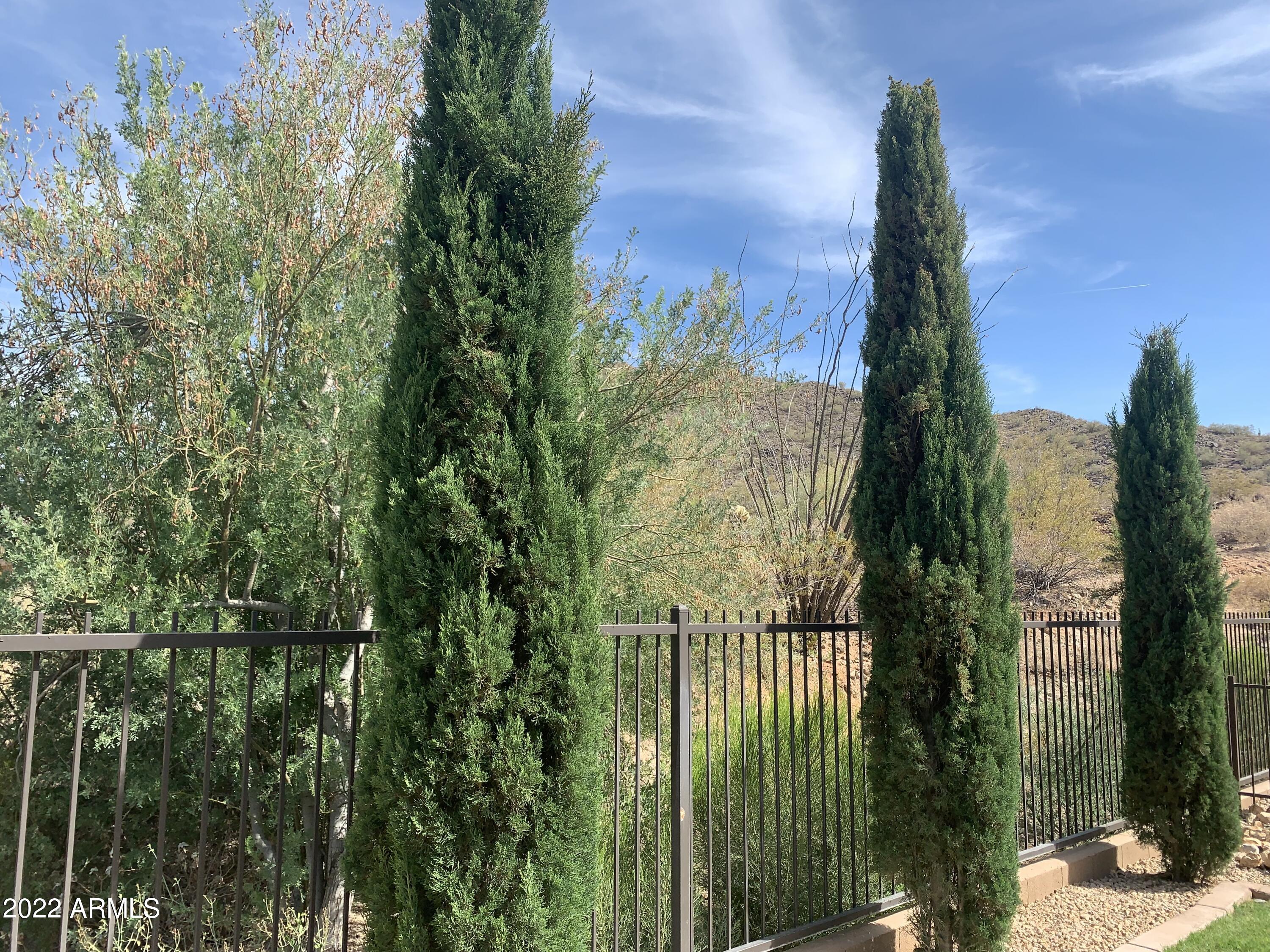 8669 West Rowel Road Peoria, AZ 85383 - Photo 77 of 86 IMG_8544