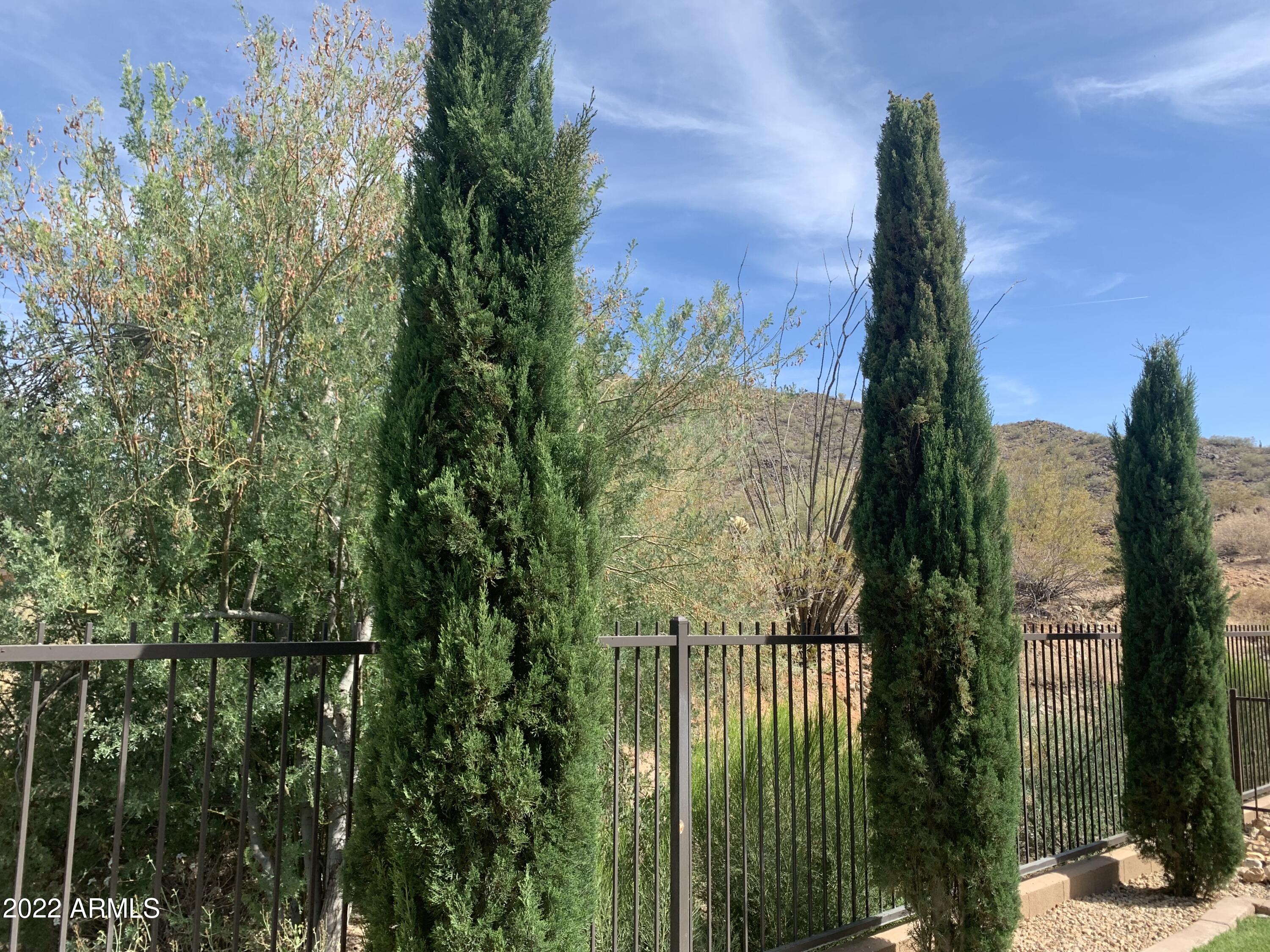 8669 West Rowel Road Peoria, AZ 85383 - Photo 78 of 86 IMG_8545