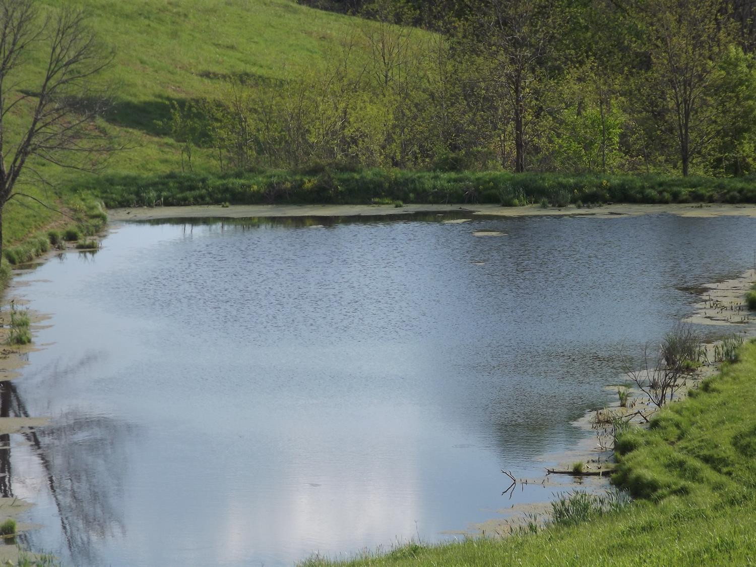 5000 Battle Road Mackville, KY 40040 - Photo 11 of 35 Photo 11