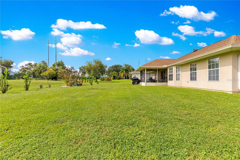 12459 Southeast 176th Loop Summerfield, FL 34491 - Photo 29 of 34 a view of a house with a big yard